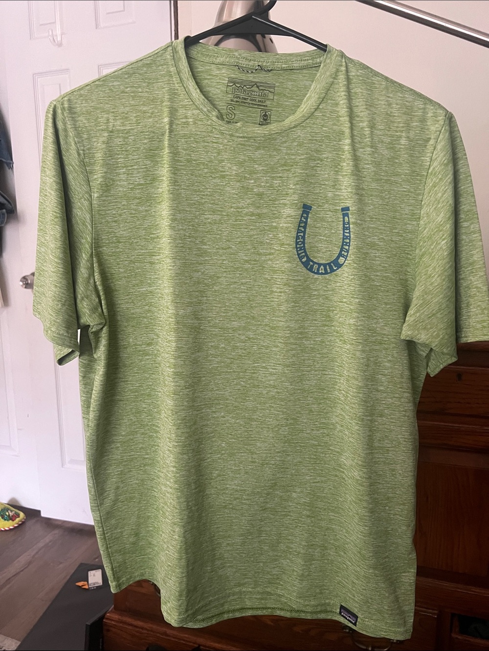 Patagonia Men’s Heathered Light Green Short Sleeve Tee with Blue Logo